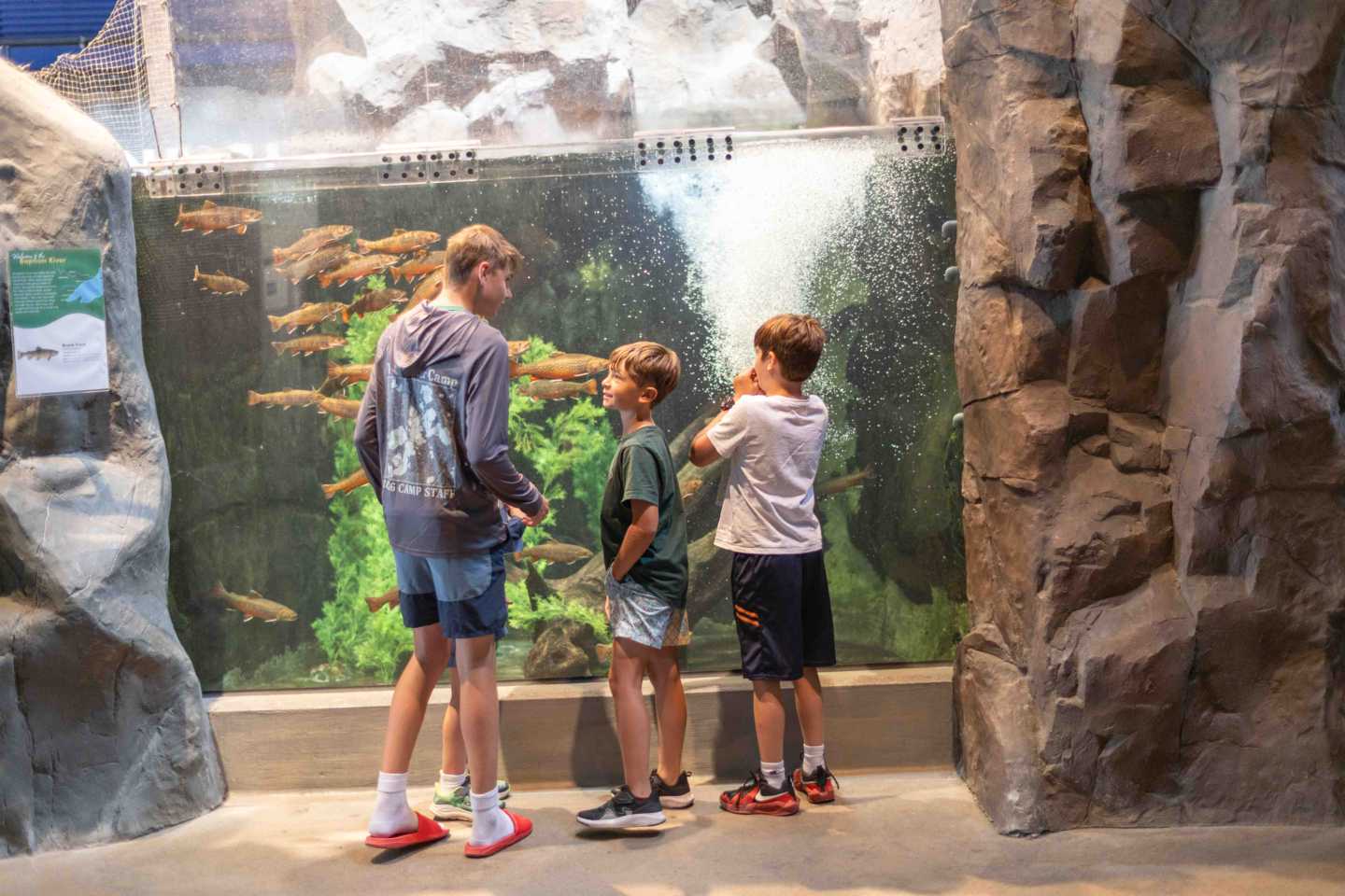 Campers exploring hands-on exhibits at the Great Lakes Aquarium during a camp trip